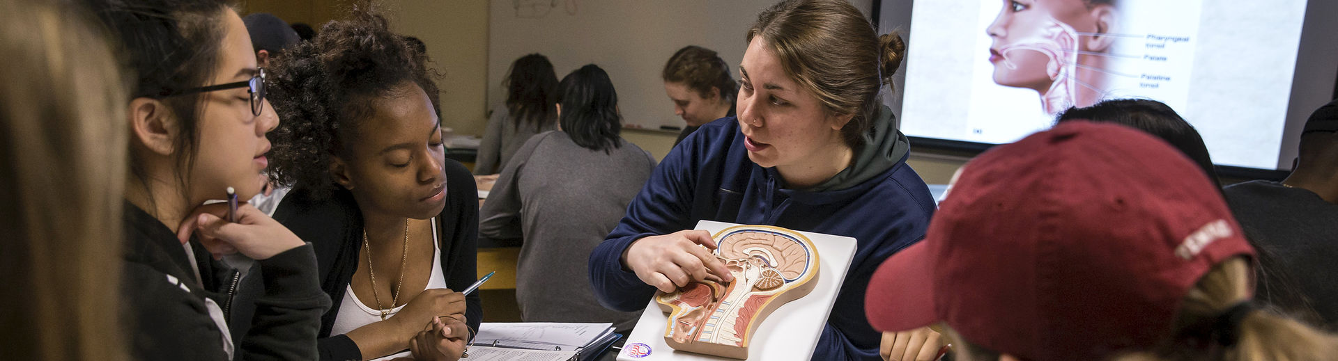 Temple students in a Health Studies class.