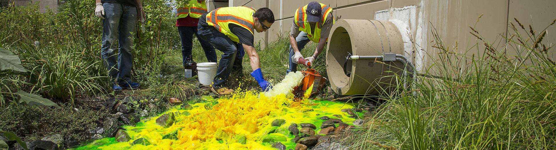 Stormwater management students cleaning up a stream 