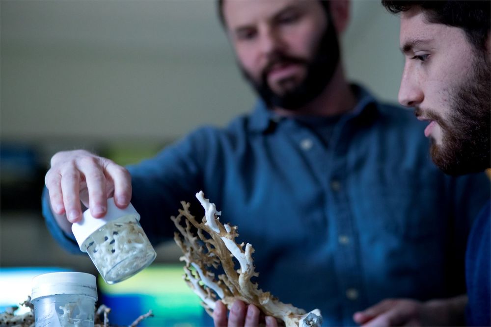 Professor and student examining coral 