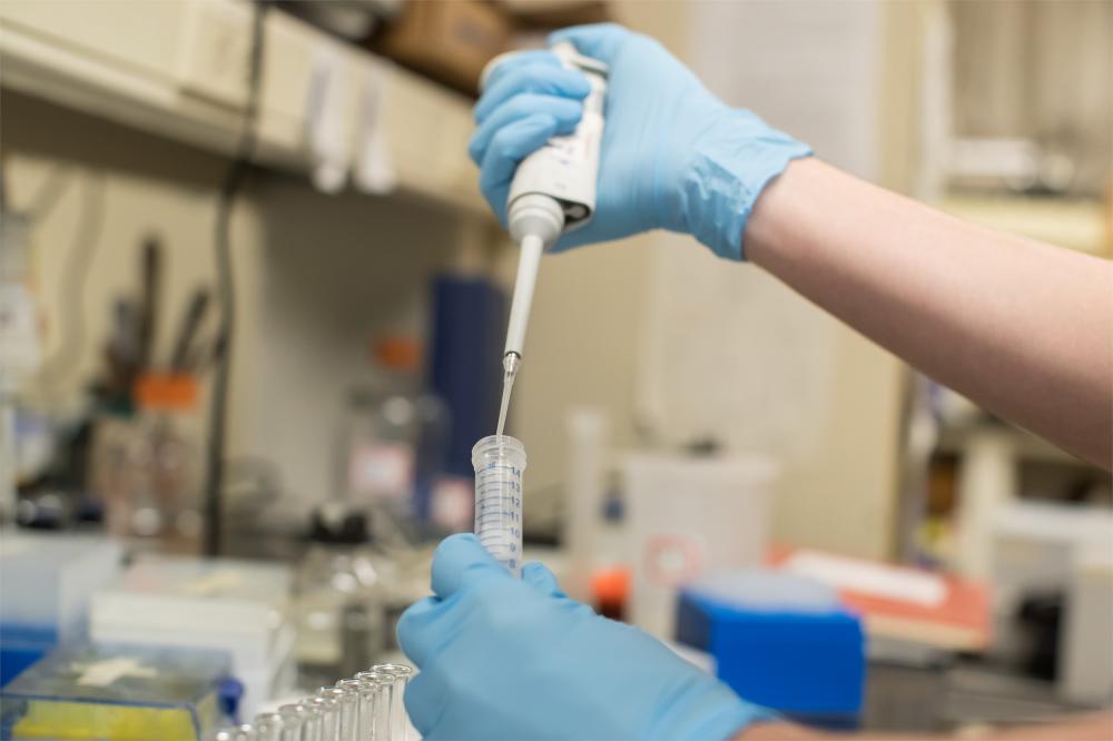 Image shows a pair of gloved hands in a lab squeezing a liquid from a tube into a vial.