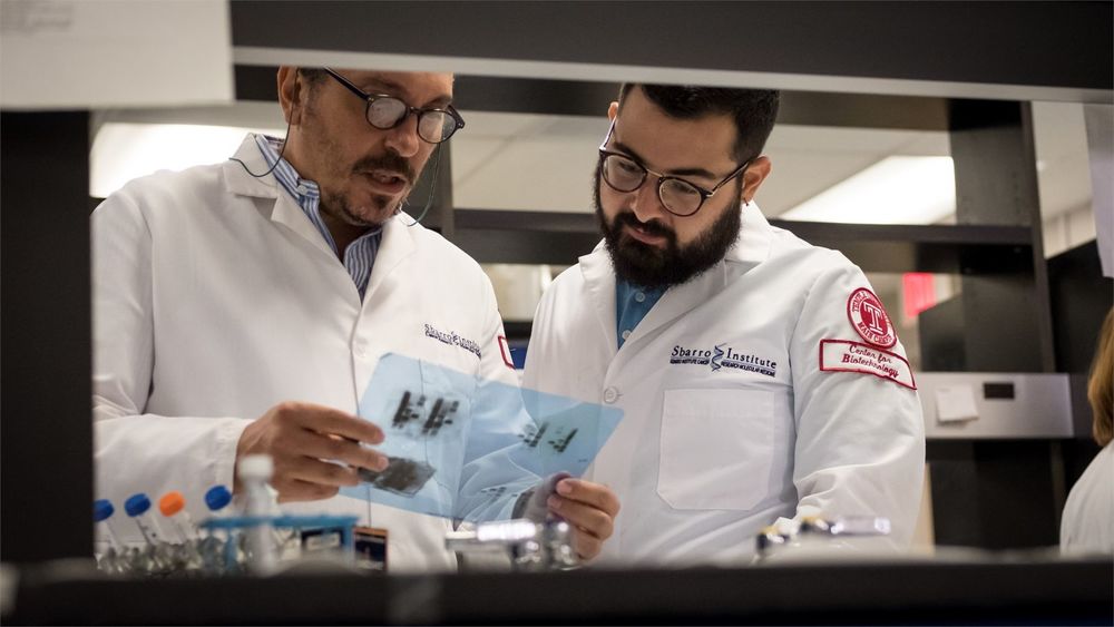 Two students examine imaging