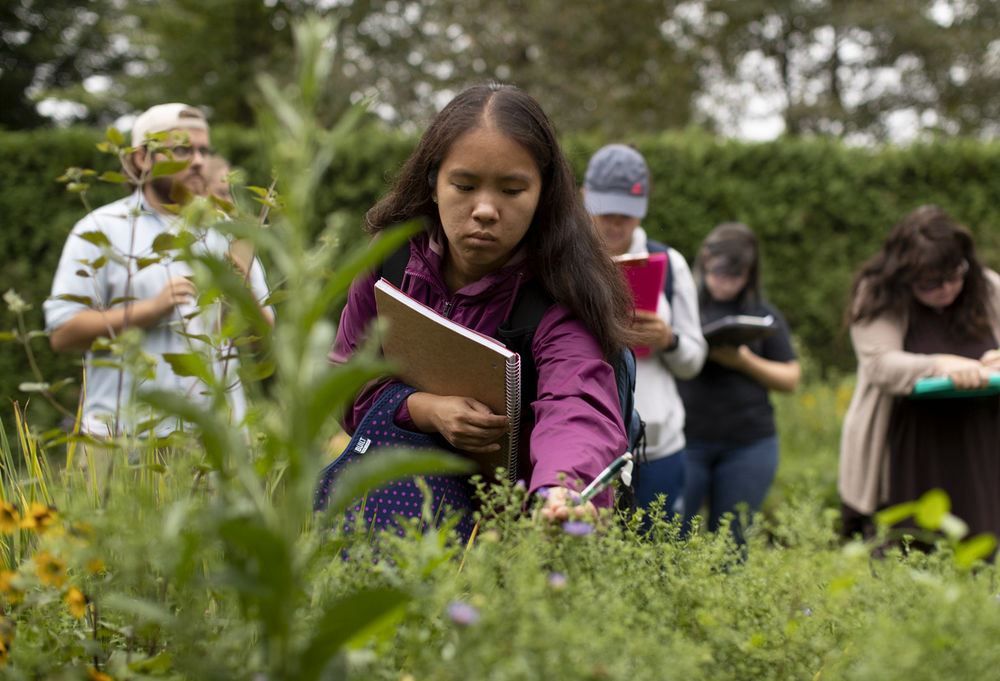 An image of a student examining a plant outside