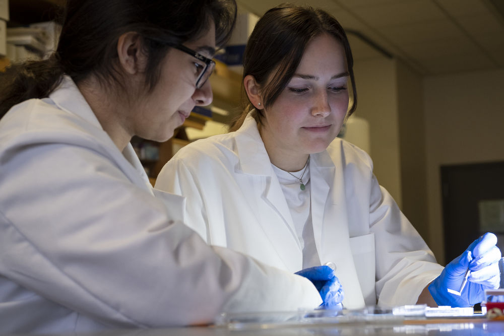 two science students working together in a lab.