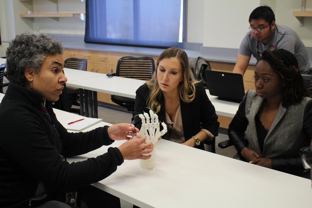 Bioengineering professor and students in a classroom