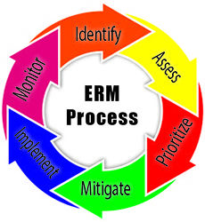 A graphic showing the typical steps involved in the ERM process.