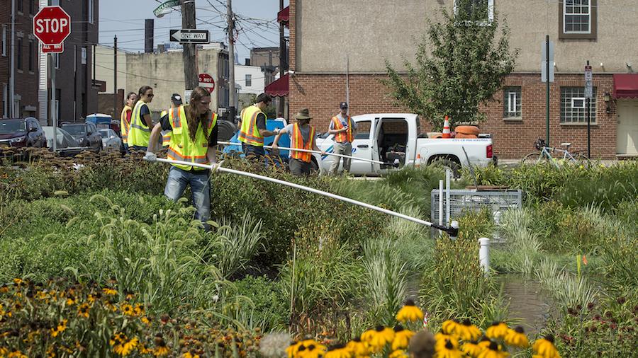 Environmental engineering students doing a clean up 