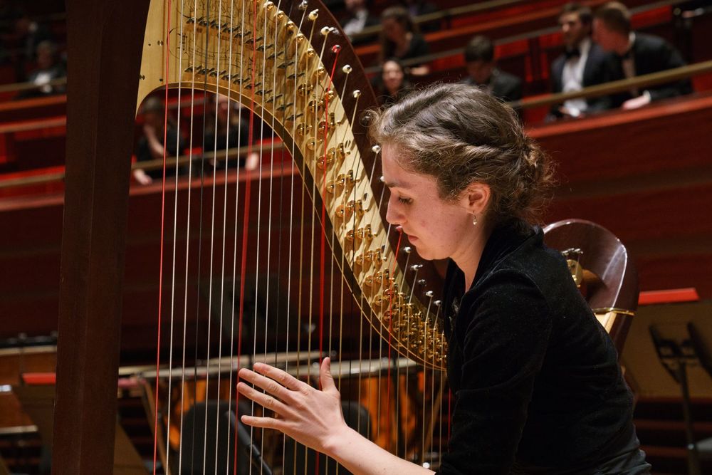 A Boyer College of Music and Dance student plays the harp during rehearsal.