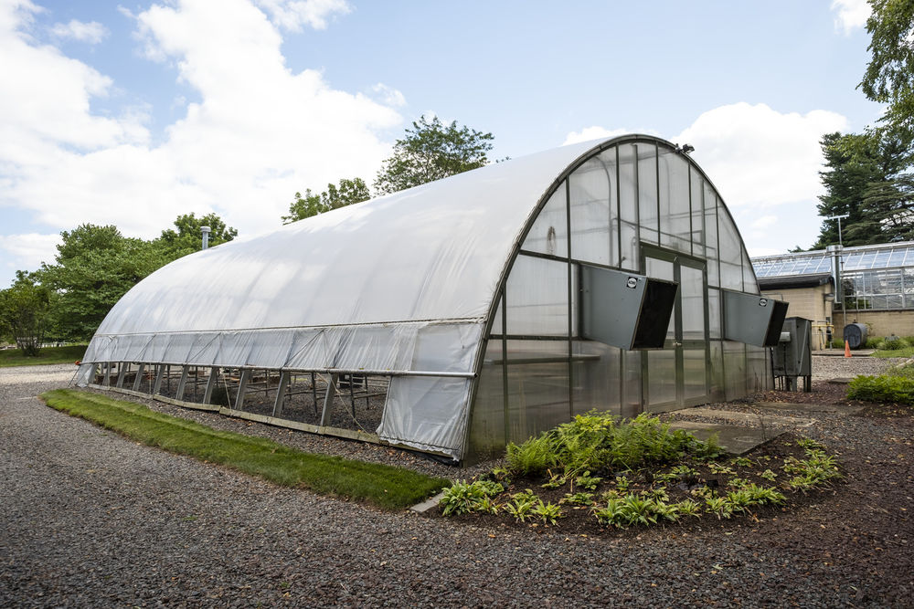 An image of a greenhouse